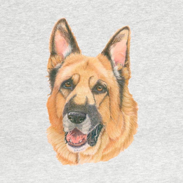 German Shepherd - pastel by doggyshop